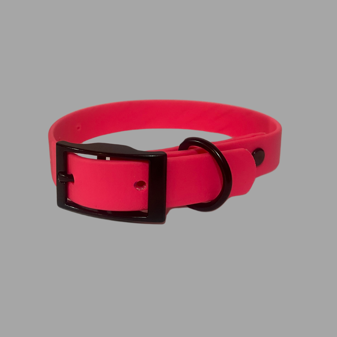 Dog 2024 collar classic