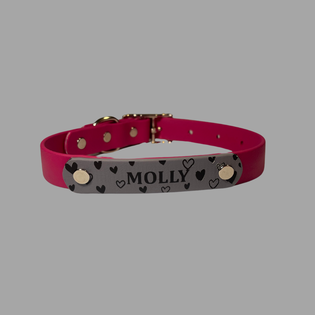 Classic Biothane Dog Collar with Name Bar