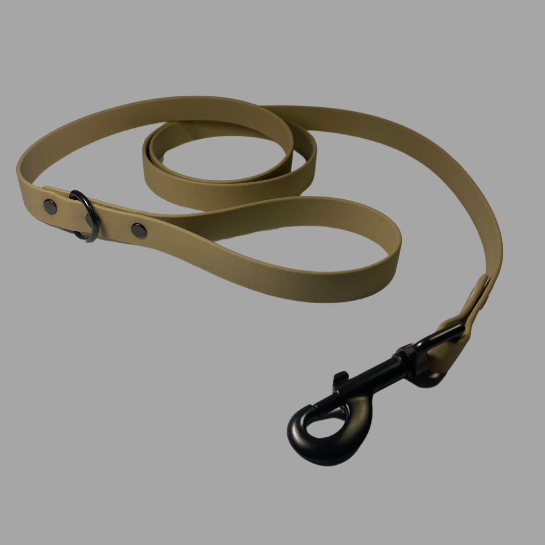 Classic Biothane Dog Leash