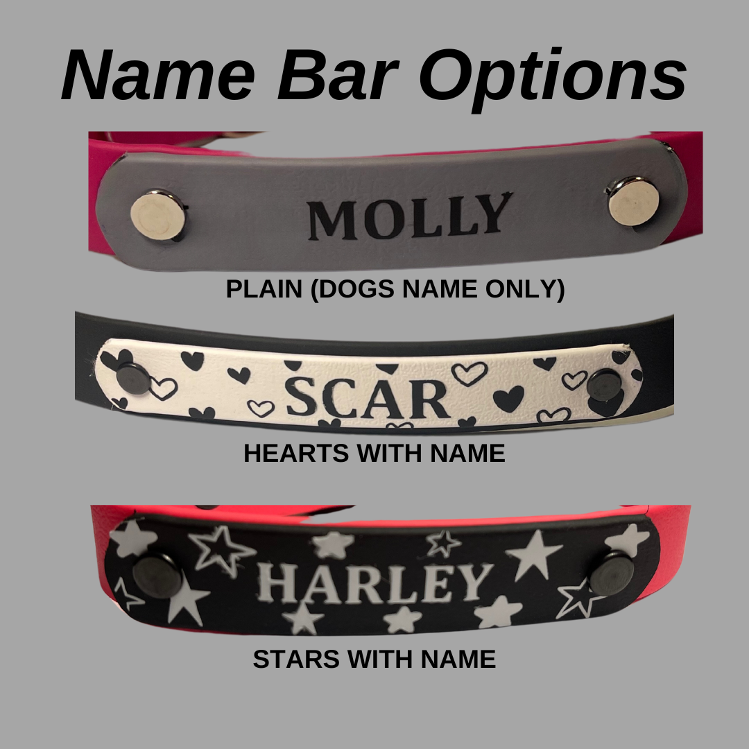 Classic Biothane Dog Collar with Name Bar